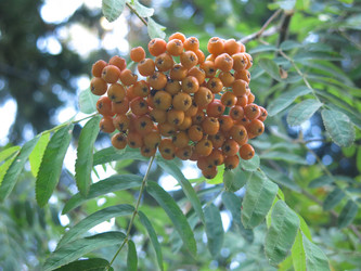 Similar image 20989276