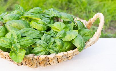 Similar image 21016391