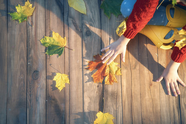 Similar image 21009290