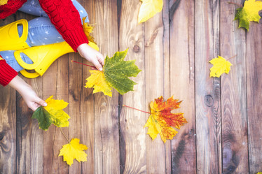 Similar image 21009292