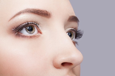 Similar image 21020085