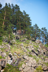 Similar image 21020215