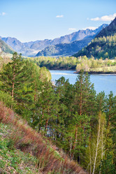 Similar image 21020217