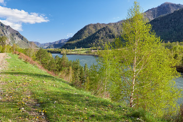 Similar image 21020218