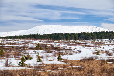 Similar image 21020237