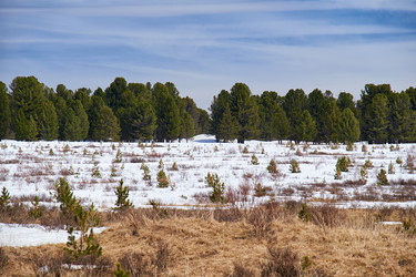 Similar image 21020239