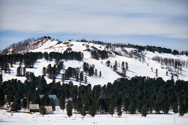 Similar image 21020240