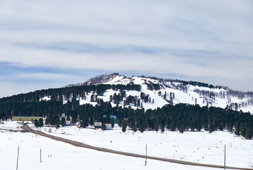 Similar image 21020243