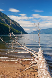 Similar image 21020129