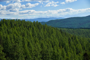 Similar image 21020170