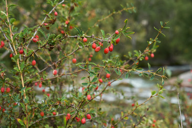 Similar image 21020185