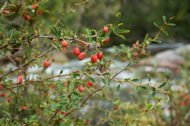 Similar image 21020186