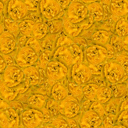 Similar image 20996082