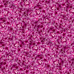 Similar image 20996084