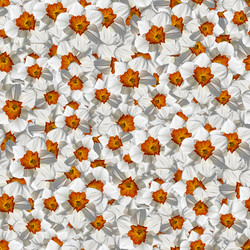 Similar image 20996088