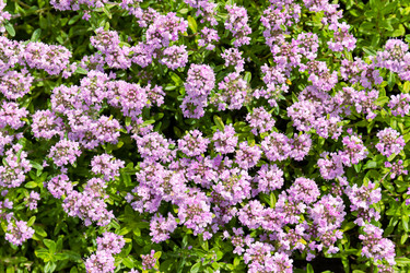 Similar image 20996092