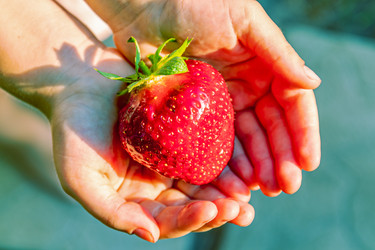 Similar image 20996093