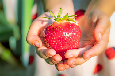 Similar image 20996101