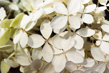 Similar image 20991783