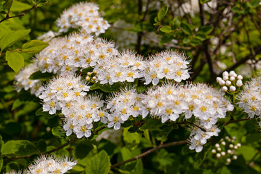 Similar image 20996228