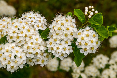 Similar image 20996229