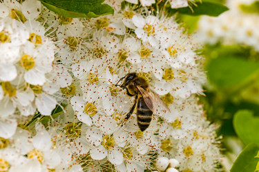 Similar image 20996230