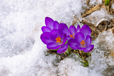 Similar image 20996232