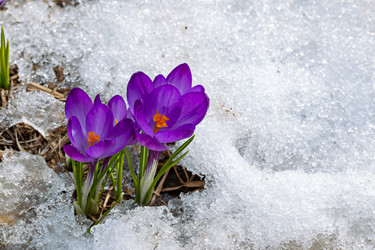 Similar image 20996234