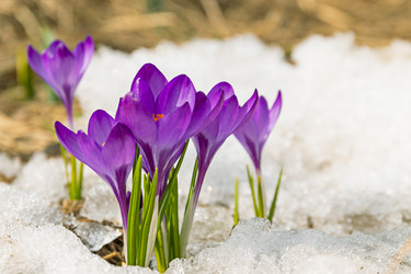 Similar image 20996235