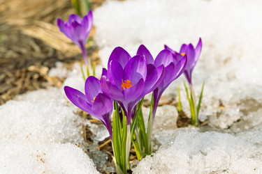 Similar image 20996236