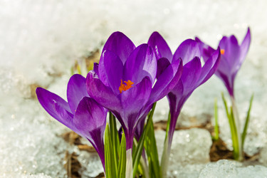 Similar image 20996237