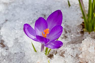 Similar image 20996238