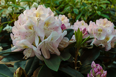 Similar image 20996240