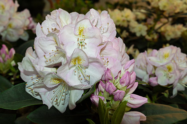 Similar image 20996242