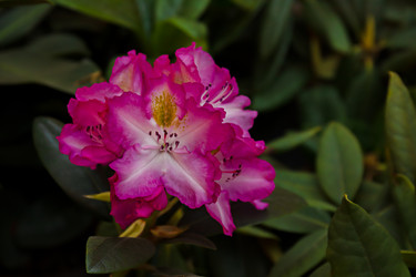 Similar image 20996243