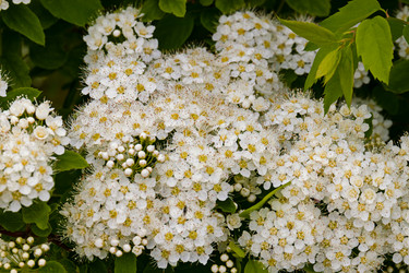 Similar image 20996244