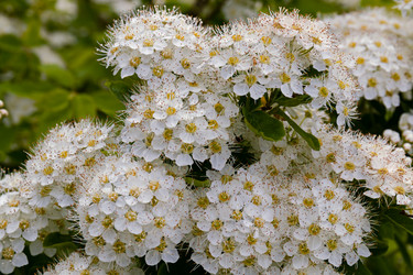 Similar image 20996245