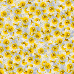 Similar image 20996247