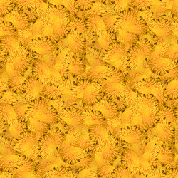 Similar image 20996249