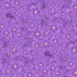 Similar image 20996255