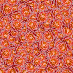 Similar image 20996256