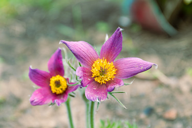 Similar image 20995972