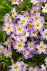 Similar image 20995975