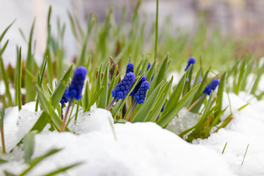 Similar image 20995980