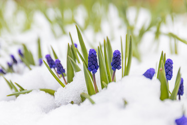 Similar image 20995981