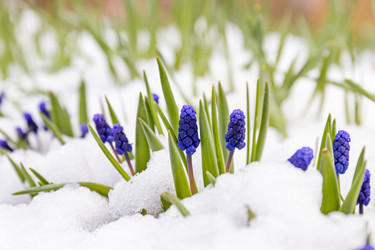 Similar image 20995982