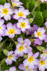 Similar image 20995983