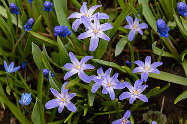 Similar image 20995984