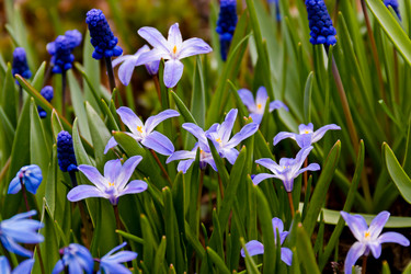 Similar image 20995985