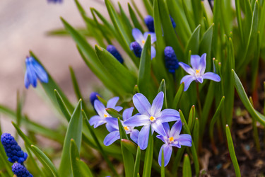 Similar image 20995986